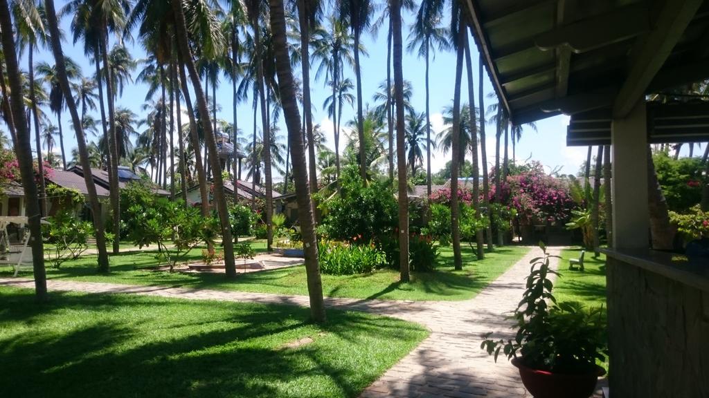 Catsen Bungalows & Rooms Mui Ne Zewnętrze zdjęcie