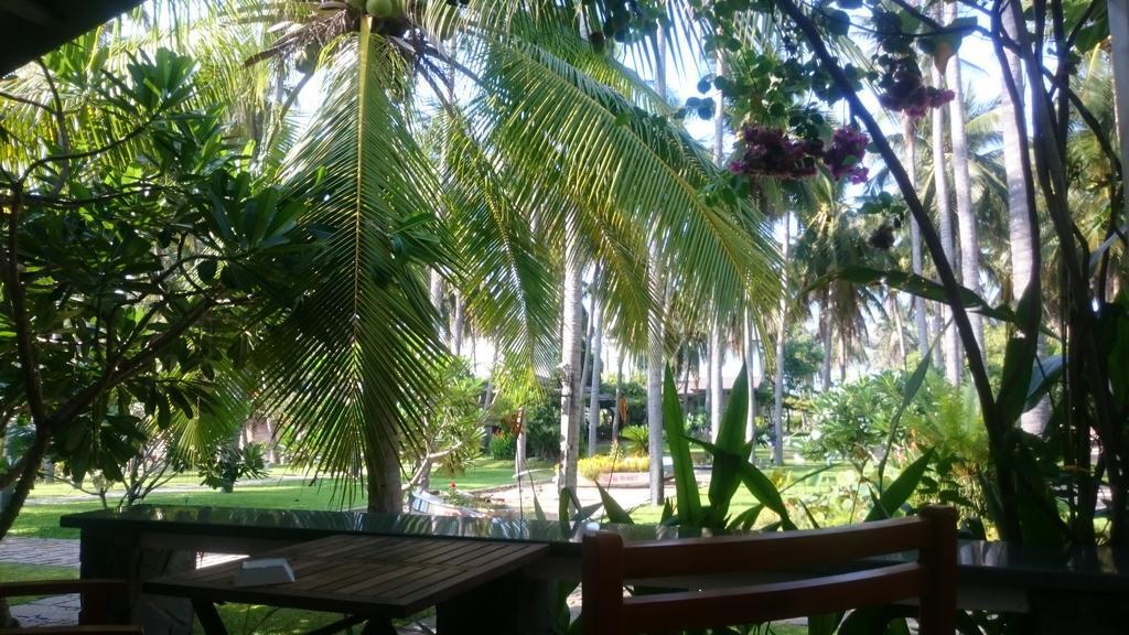 Catsen Bungalows & Rooms Mui Ne Zewnętrze zdjęcie